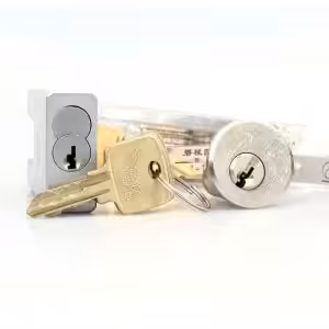 Lishi Style Fly.Globe 2-in-1 Decoder and Pick